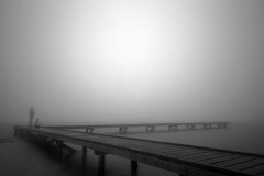 Portrait of a bw master